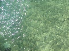 -东姑阿都拉曼海洋公园