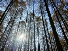 -山王坪喀斯特国家生态公园