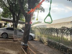 -海堤葡萄园中小学生研学基地