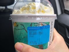 -雾与山茶(大禹城店)
