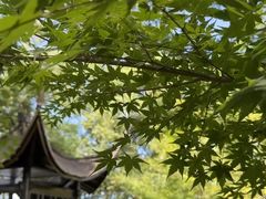 -东湖落雁景区
