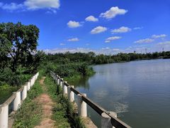 -白鹭湾湿地公园