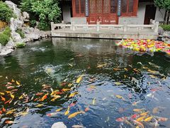 -下海庙