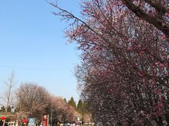 -仙海旅游度假区