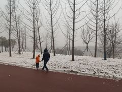 -灞河西岸滨河公园