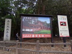 -奈良公园
