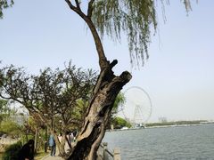 -无锡蠡湖国家湿地公园-蠡园
