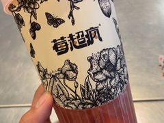 -莓超疯(百源店)