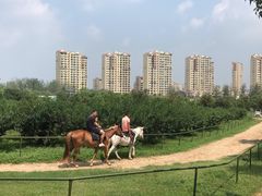 -扬州天乐湖嬉乐谷