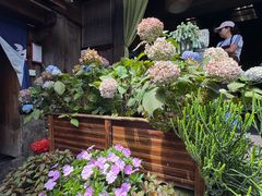 -龙姐私房菜(和顺古镇店)