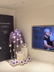 -紫御国际抗衰ZOE ANTI AGING