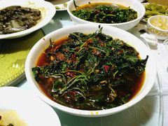 -小六农家乐(崇明西沙湿地店)