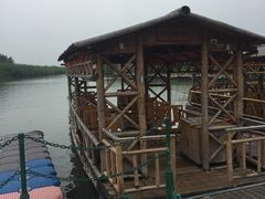 -泗洪洪泽湖湿地景区