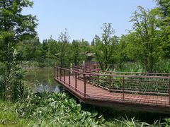 -同里国家湿地公园