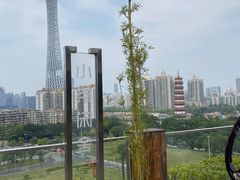 -小茶闲舍·观景商务茶馆(广州塔店)