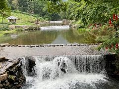 -广州市石门国家森林公园