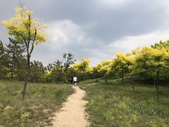 -东郊湿地公园