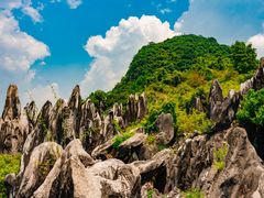 -玉石林风景区