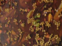 -味之绝热血美蛙鱼火锅(中坝店)