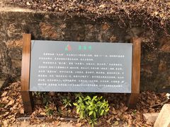 -雨花胜境