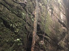 -梦幻奥陶纪景区