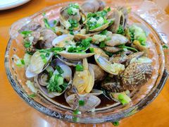 花蛤-全乐鱼馆·淳牌有机鱼直营店