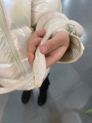 -Moni星球萌宠·小马宝莉·灵蛇·高端高阶全萌宠互动体验俱乐部(红豆国际广场店)