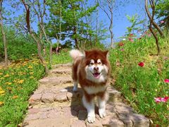 -龙川湾千岛湖国际垂钓中心