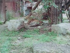 -沈阳森林动物园