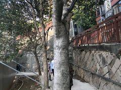 -金鸡山公园