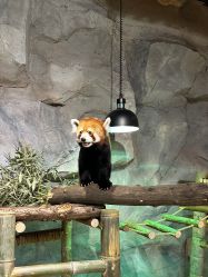 -Zoolung Zoolung动物主题公园(海信广场店)