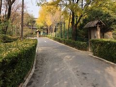 -潇湘甲鱼村(清河店)