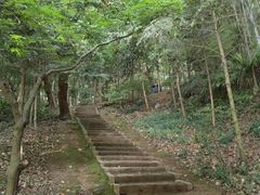 -上海佘山国家森林公园天马山园