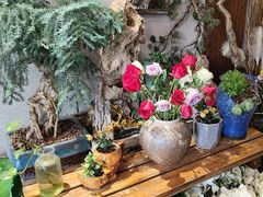 -山海经·海边人家 海鲜新青岛菜(扬州路店)