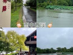 -西溪国家湿地公园