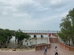 -宝安西湾红树林湿地公园