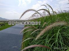 -光明小镇欢乐田园