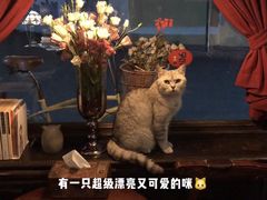 -不舍昼夜咖啡馆