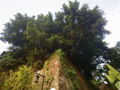 -磁器口古镇