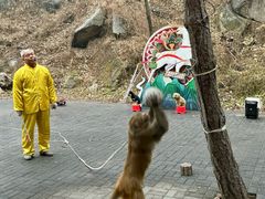 -洛阳花果山景区