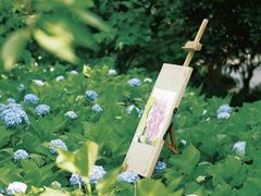 -国家植物园