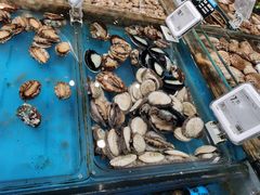-盒马鲜生(皇庭广场店)