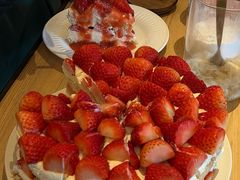 -O'eat Blossom&Pelican(深圳首店)