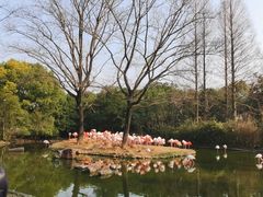 -上海野生动物园