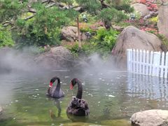 -罗红摄影艺术馆