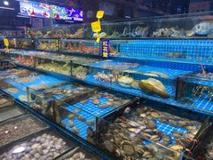 水产区-渔人湾码头海鲜市场负二楼