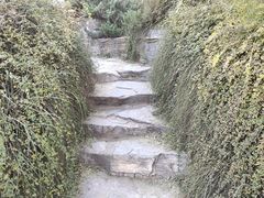 -北京西山国家森林公园