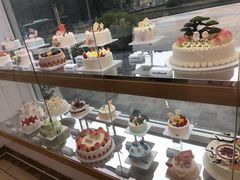 -蒲公英(五里店)