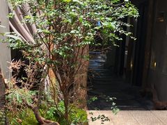 -森SPA·泰式按摩·精油Massage(宝安中心店)