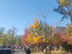 -辽宁大学(崇山校区)